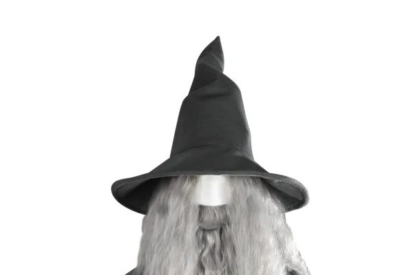 The Lord of the Rings: The Fellowship of the Ring Gandalf the Grey Cosplay Costume | Movie Outfit