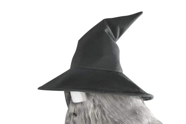 The Lord of the Rings: The Fellowship of the Ring Gandalf the Grey Cosplay Costume | Movie Outfit
