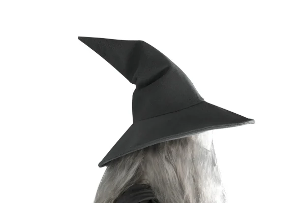 The Lord of the Rings: The Fellowship of the Ring Gandalf the Grey Cosplay Costume | Movie Outfit