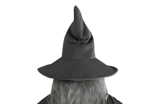 The Lord of the Rings: The Fellowship of the Ring Gandalf the Grey Cosplay Costume | Movie Outfit