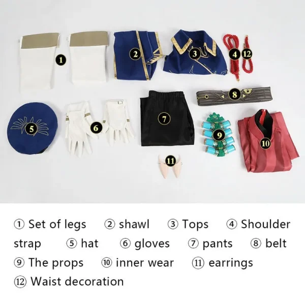 The Legend of Zelda: Tears of the Kingdom Link Royal Guard Uniform Cosplay Costume | Game Outfit