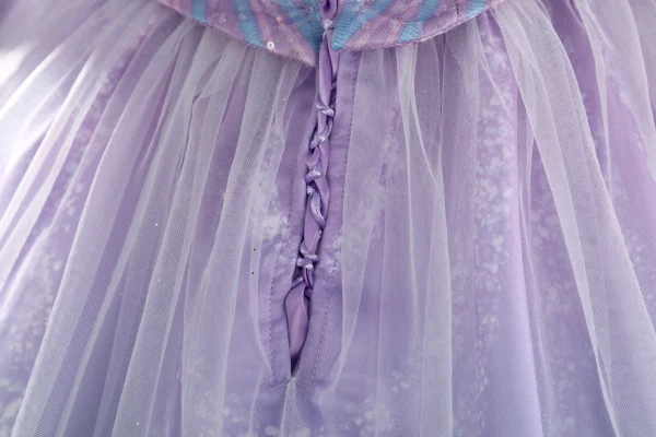 Wicked: For Good Cosplay Costume | Movie Outfit