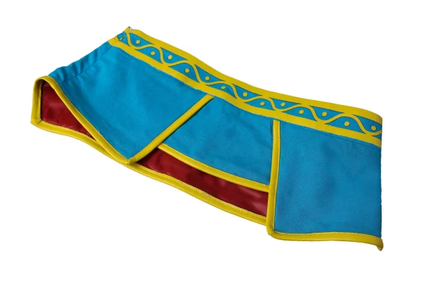 The Legend of Zelda: Breath of the Wild Princess Zelda Cosplay Costume | Game Outfit
