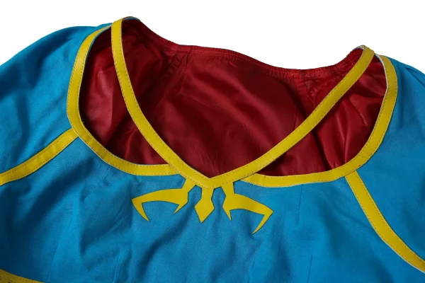 The Legend of Zelda: Breath of the Wild Princess Zelda Cosplay Costume | Game Outfit